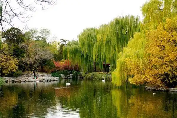 未時是什麼時候