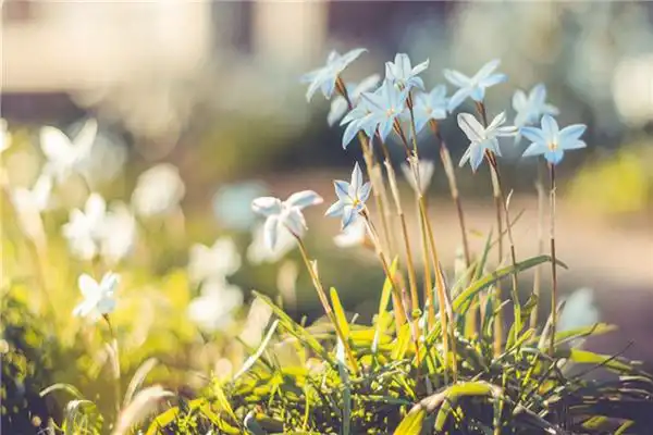 地支相衝八字預測實例