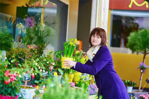 什麼是天干地支