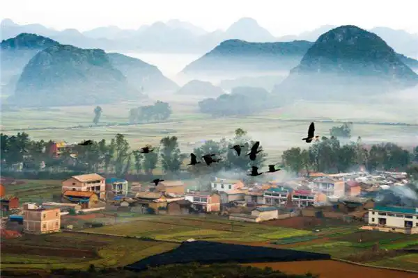 地支五行藏干氣數