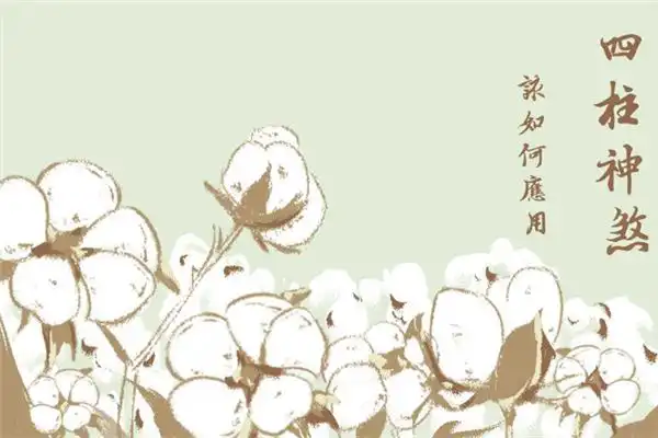 四柱神煞 八字四柱神煞查詢