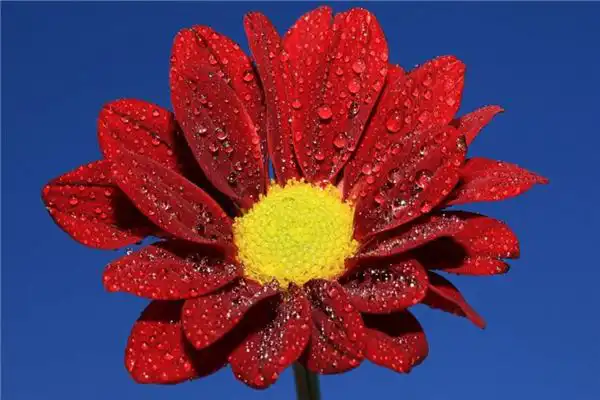 起名需要注意什麼？