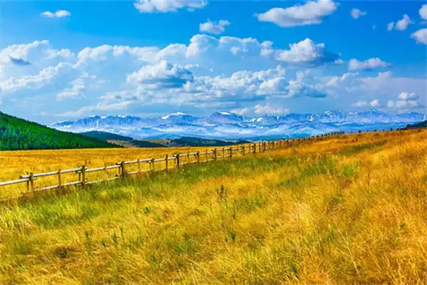 凡事宜順吉之兆