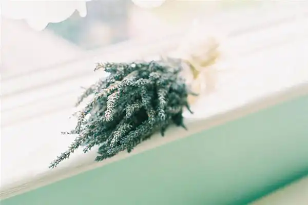 天干地支與生肖對照表