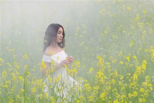 地支六合的應用規則