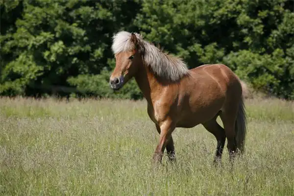 戊午年是哪一年