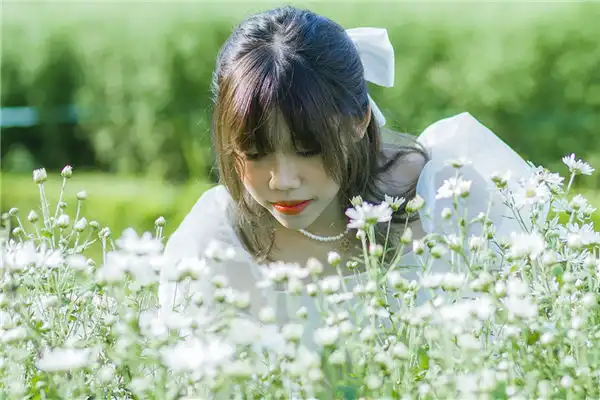 十二地支戌土詳解