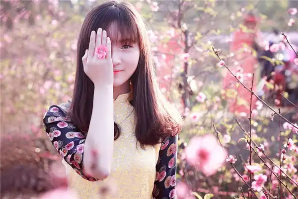 在命局當中地支發生相衝的影響