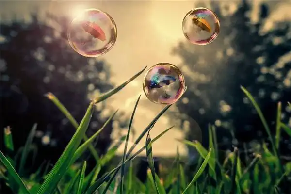 什麼是日主天干