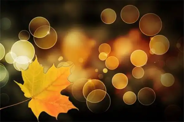 地支相衝八字預測實例