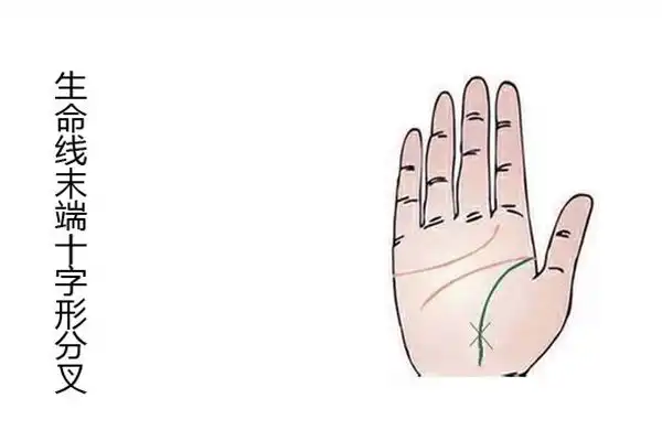 生命線分叉圖解知多少