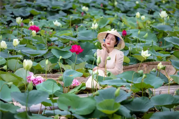 愁眉思慮暫時開,啟出雲霄喜自來