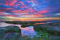 天干地支五行衰旺論