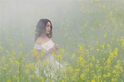 地支六合的應用規則