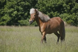 戊午年是哪一年