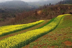 丑時是什麼時候