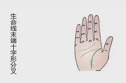 生命線分叉圖解知多少